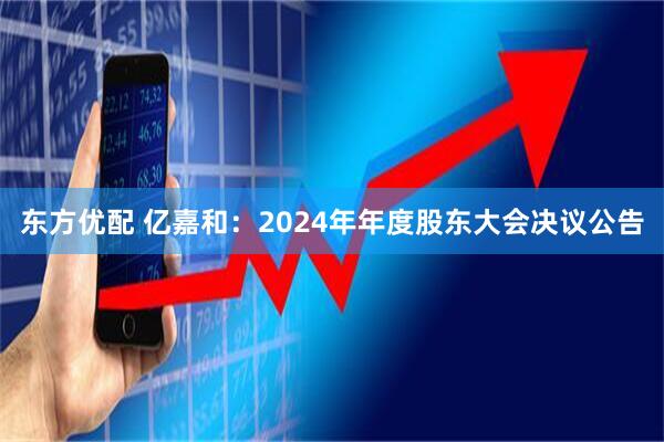 东方优配 亿嘉和：2024年年度股东大会决议公告
