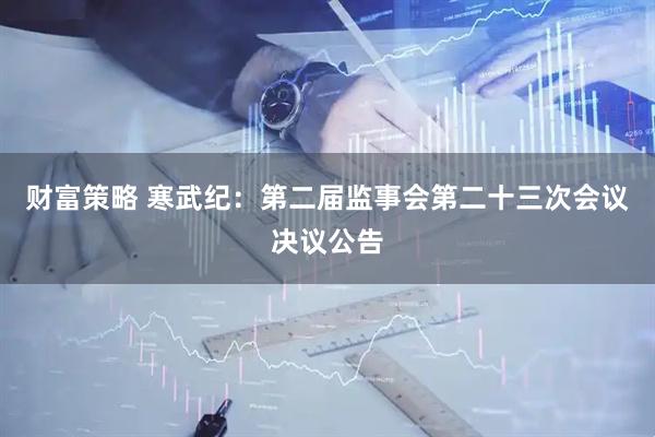 财富策略 寒武纪：第二届监事会第二十三次会议决议公告
