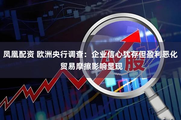 凤凰配资 欧洲央行调查：企业信心犹存但盈利恶化 贸易摩擦影响显现