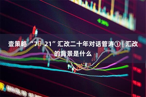 壹策略 “7・21”汇改二十年对话管涛① | 汇改的背景是什么