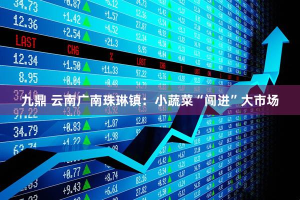 九鼎 云南广南珠琳镇：小蔬菜“闯进”大市场